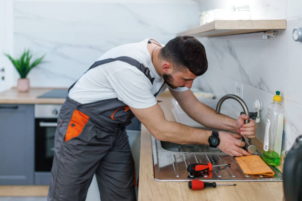 Best Plumbing Services Near Me  in Grosse Pointe, MI